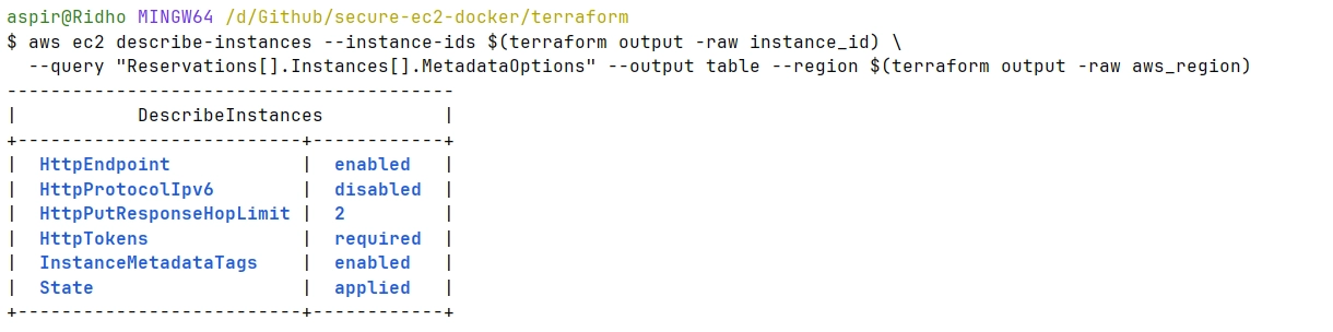 Screenshot of AWS Describe Instance in terminal