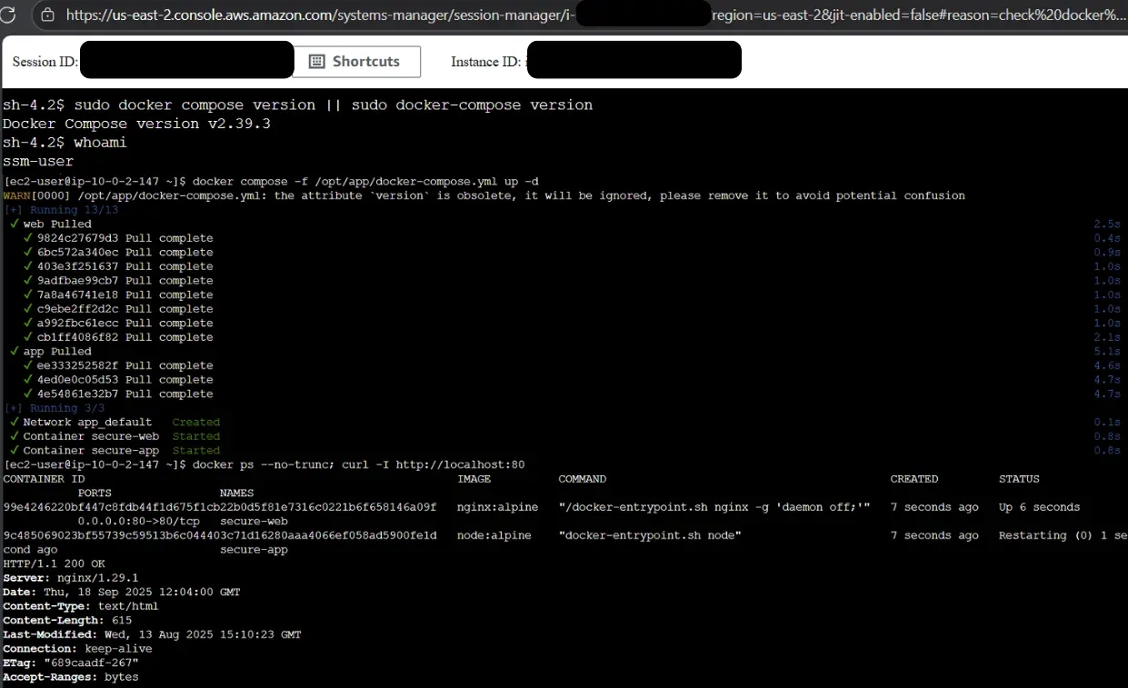 Screenshot of AWS Describe Instance in terminal